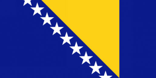 BiH zastava