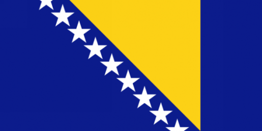 BiH zastava BiH zastava
