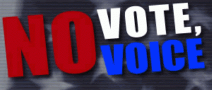 No vote No voice No vote No voice