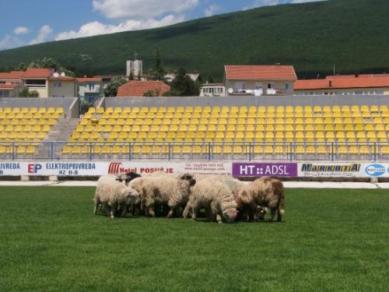 Stadion Stadion