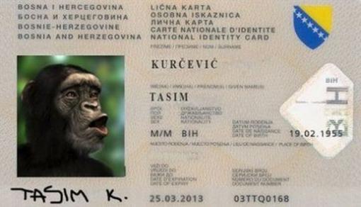 Tasim Kurčević Tasim Kurčević