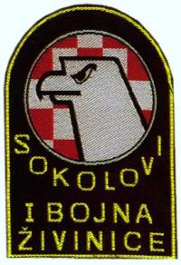 Živinički sokolovi