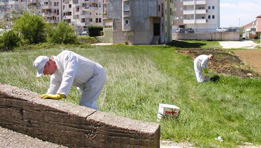 Počela preventivna deratizacija javnih i drugih površina na području općine Čitluk Počela preventivna deratizacija javnih i drugih površina na području općine Čitluk