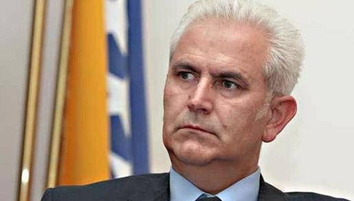 Živko Budimir na slobodi Živko Budimir na slobodi