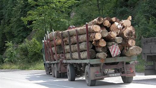 Inspektori u kontroli sječe šuma, izuzeto više od 700 kubika drveta