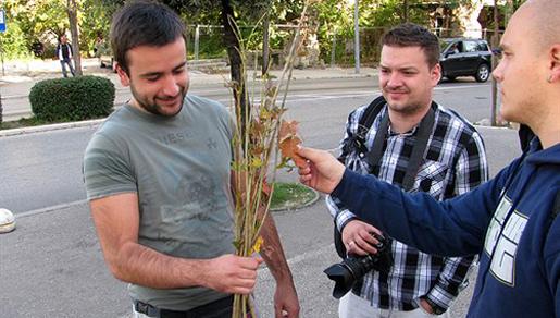 Let’s Do It: Sto volontera u Mostaru zasadilo sto sadnica