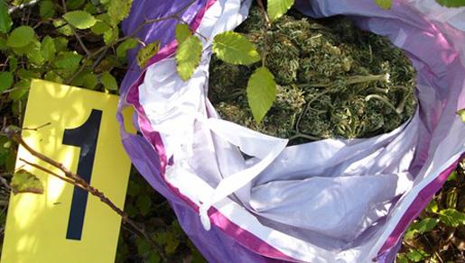 Ljubuški: Dvije osobe privedene, pronađena marihuana, speed, oružje Ljubuški: Dvije osobe privedene, pronađena marihuana, speed, oružje