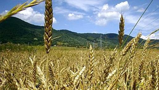 Vitez: Obavijest za ažuriranje podataka u Registru poljoprivrednih gazdinstava