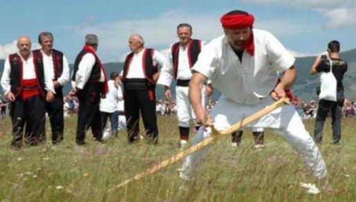 Kosac Kosac